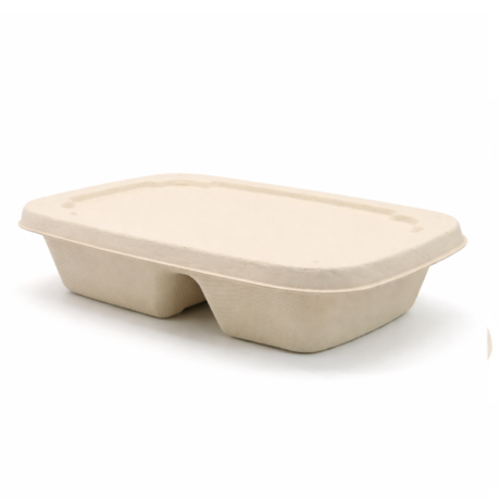 Bagasse Container – 2 Compartment